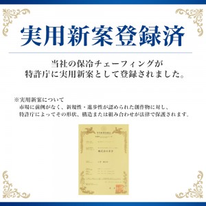 サラダバーにおすすめ！ホテルパン付きのKIPROSTAR保冷チェーフィング PRO-CC